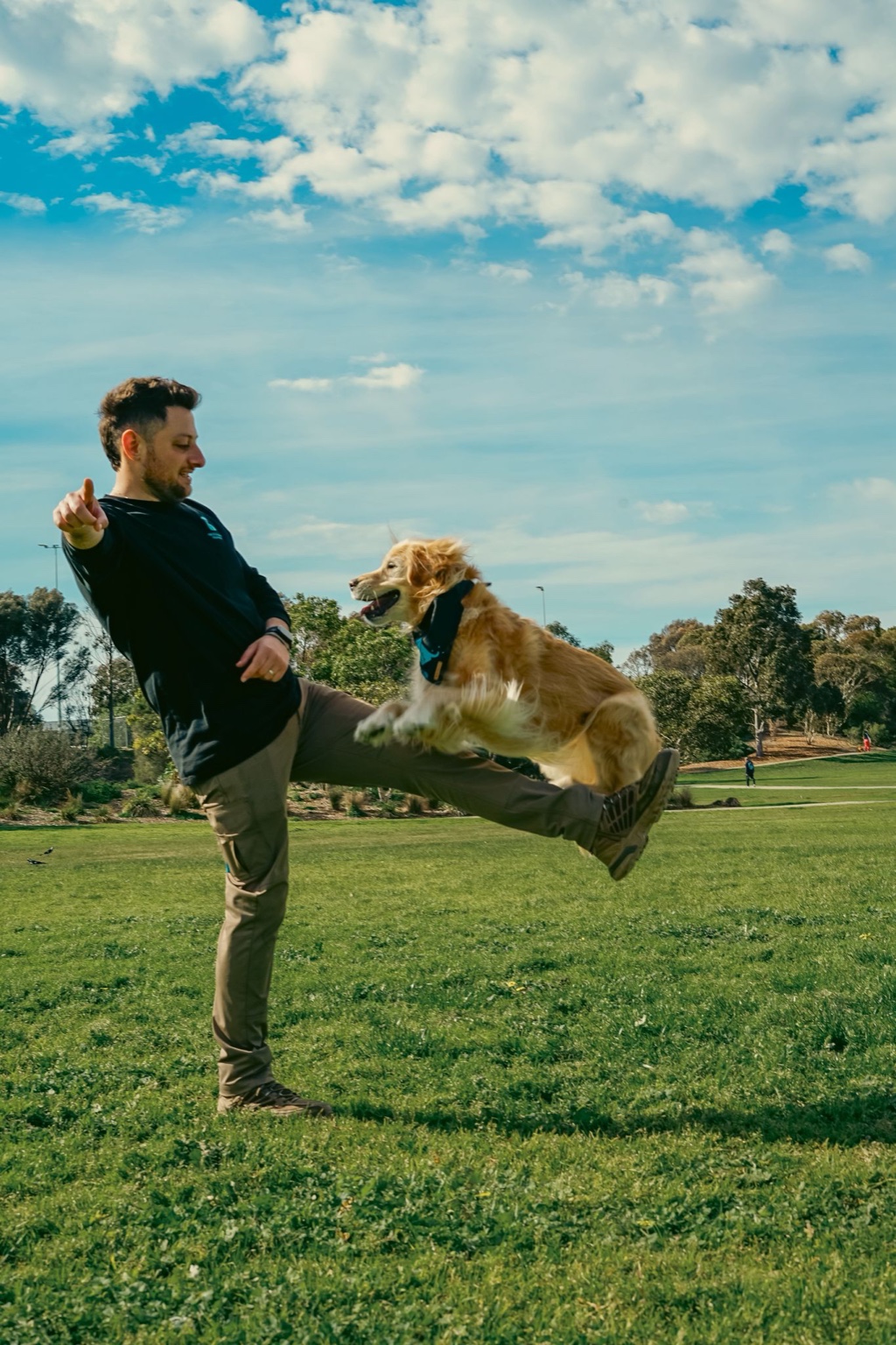 Dog jumping over Ari's leg during a trick training session