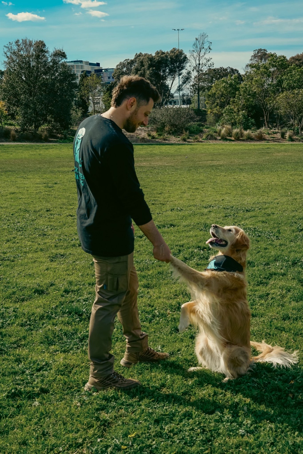 Dog offering paw during a Trick & Treat Training session in Melbourne