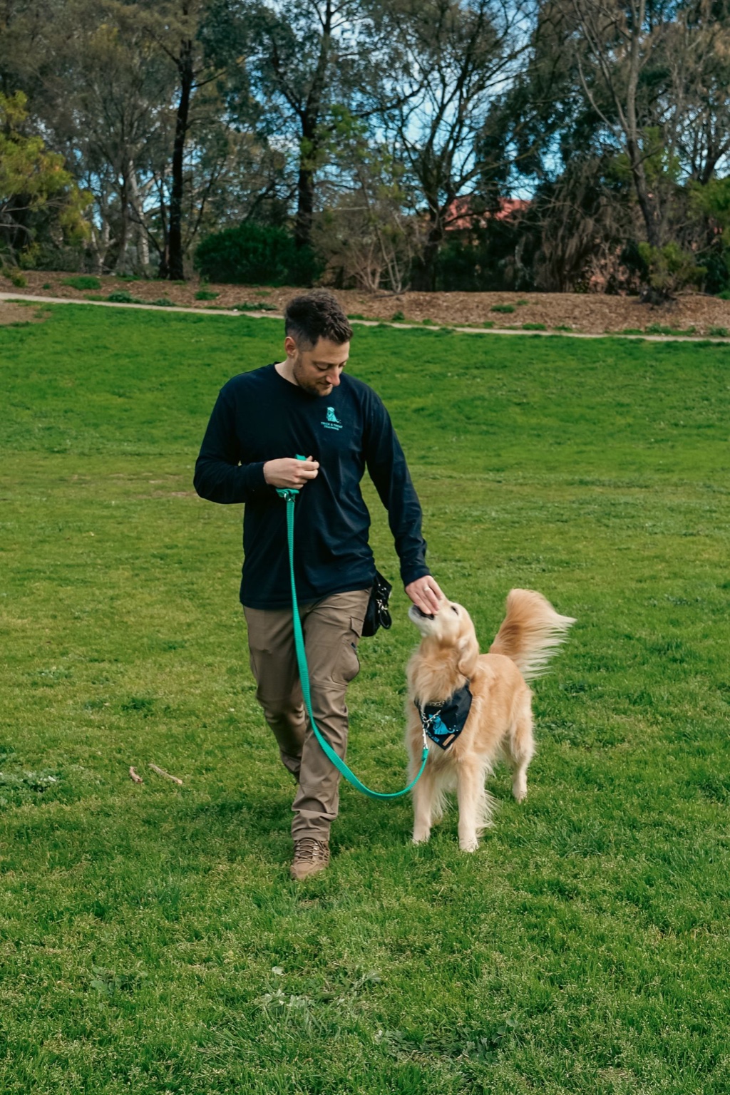 Loose-lead walking session with dog trainer in Melbourne
